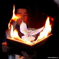 Фокус голубь из горящей книги.